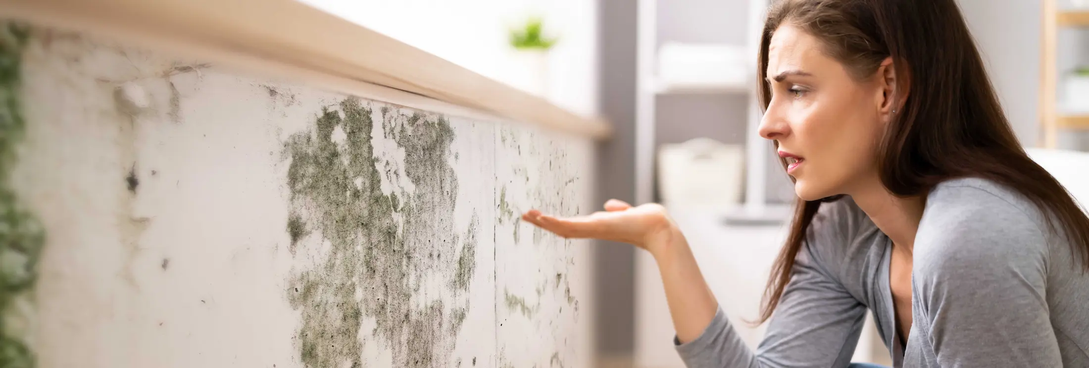 Fallrohrsanierung Köln Fallrohrsanierung Köln